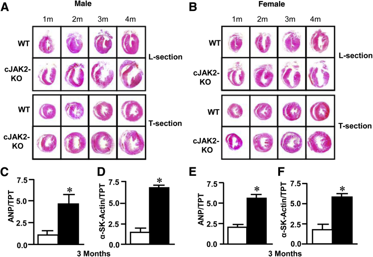 Figure 3