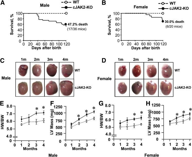 Figure 2