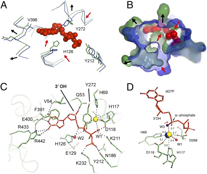 Fig. 3.