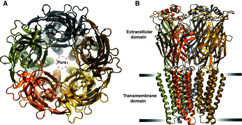 Fig. 1