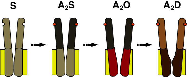 Fig. 5