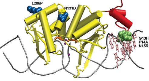 Fig. 2