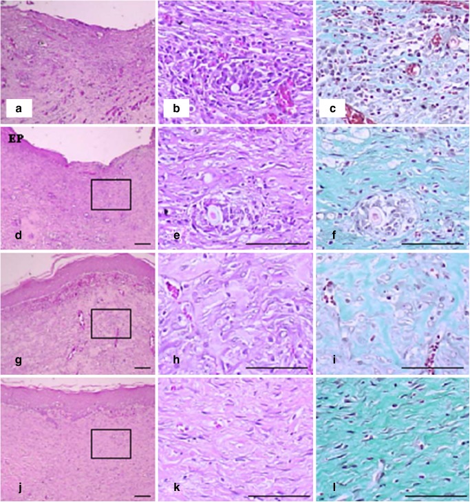 Fig. 10