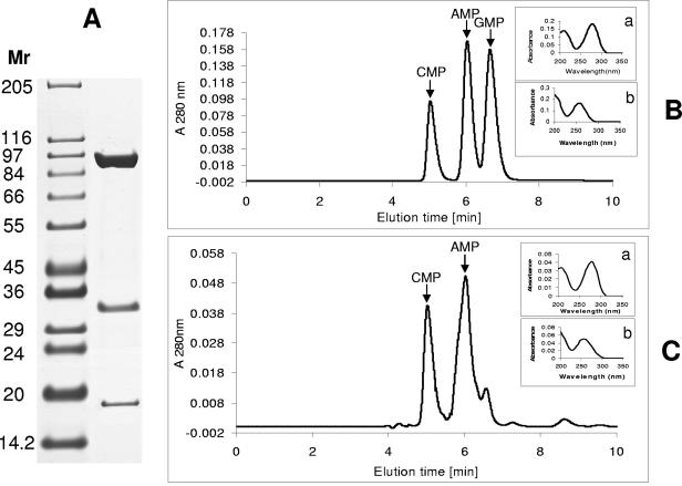 FIG. 1.