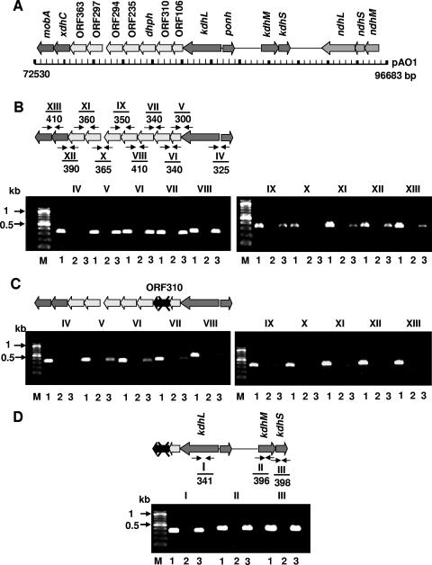 FIG. 2.