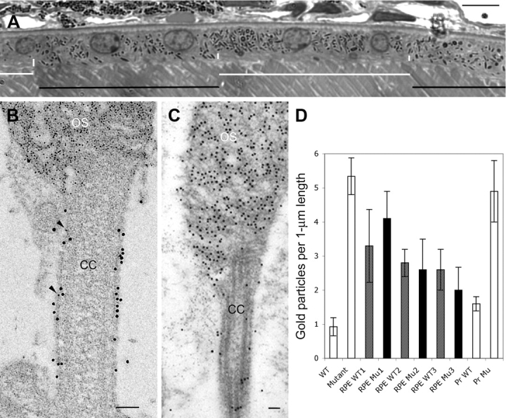 Figure 3.