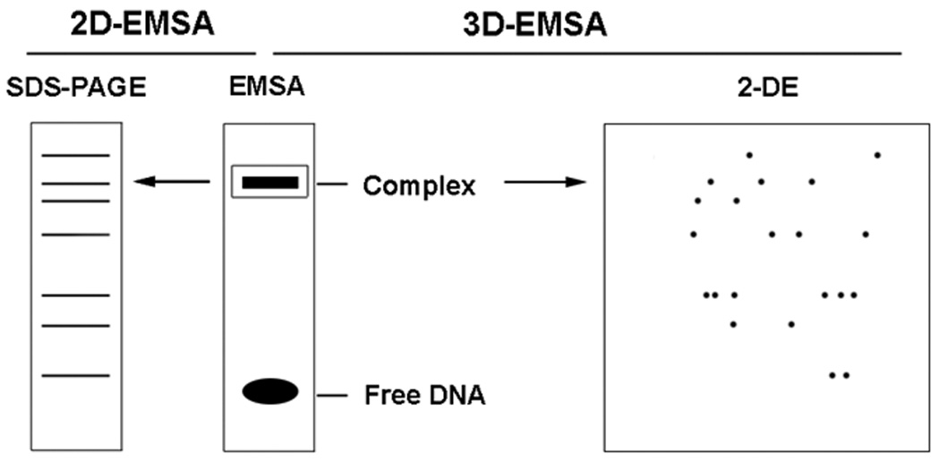 Fig.5