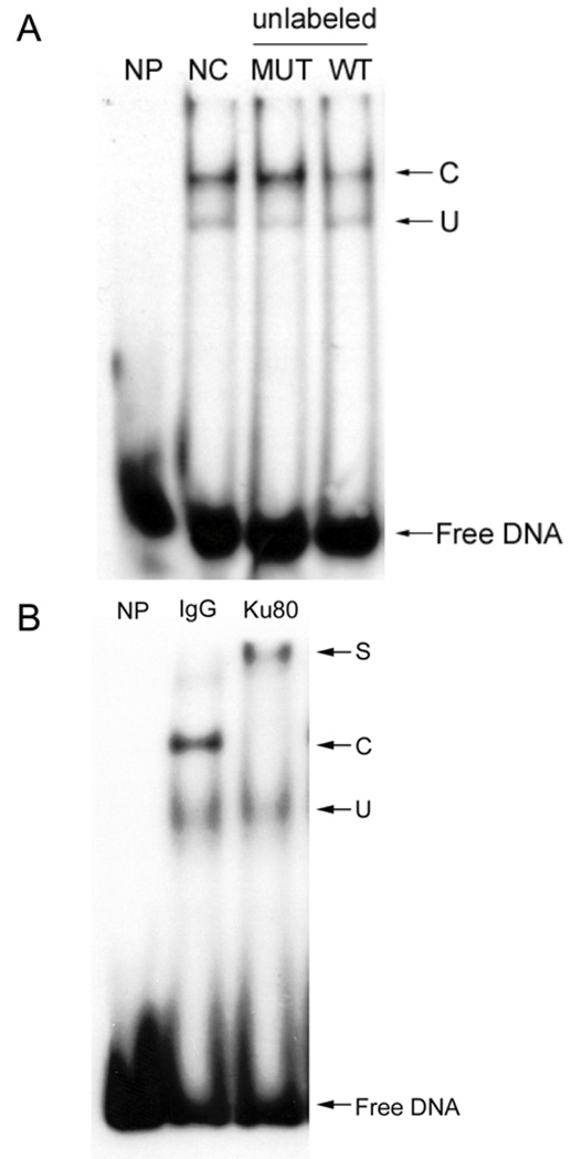 Fig.1