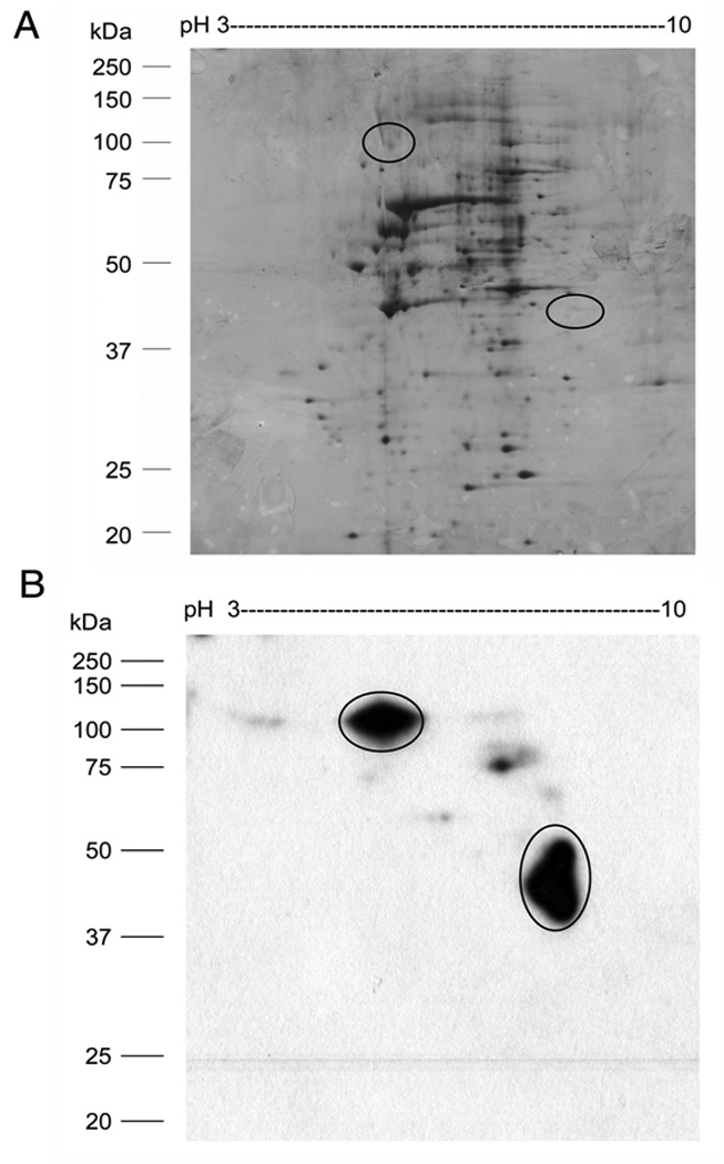 Fig.4