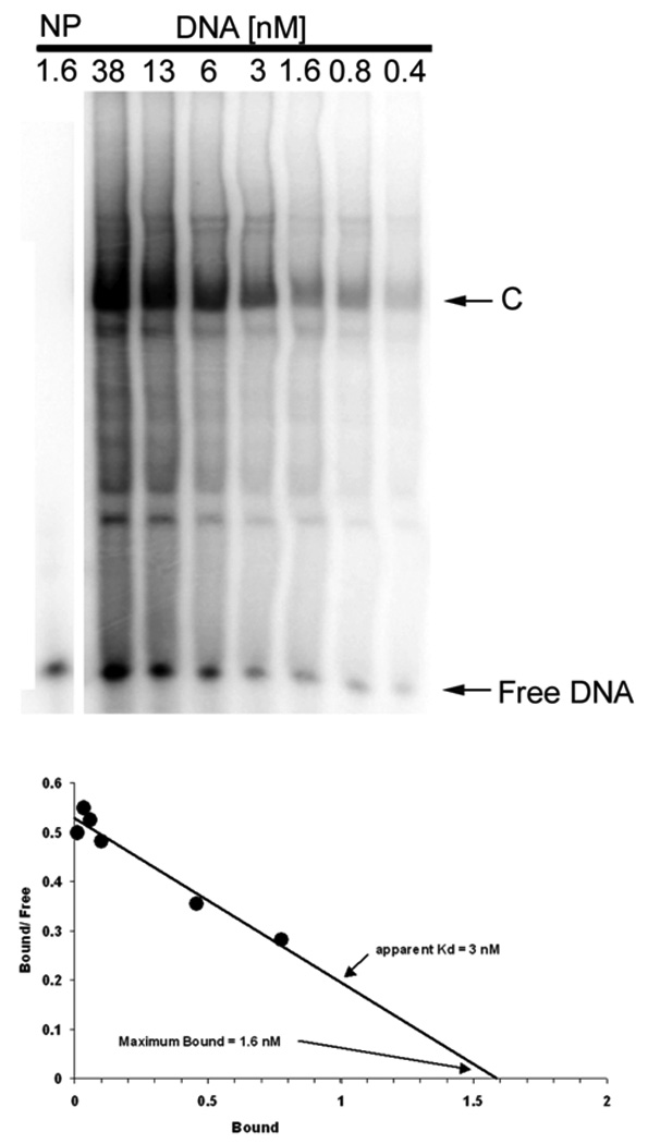 Fig.2