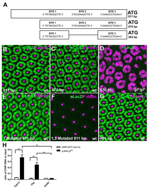 Fig. 9