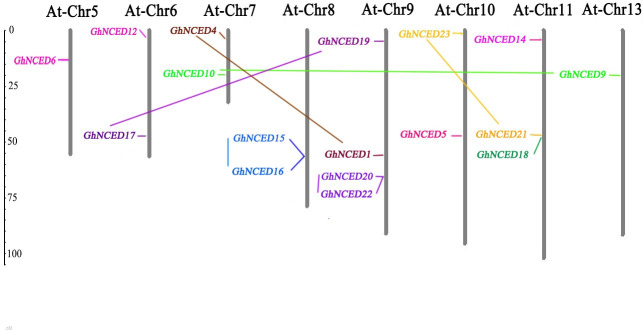 Fig 5