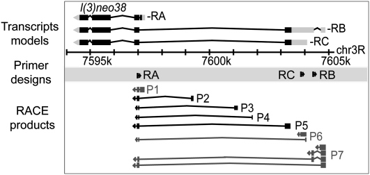 Figure 2.