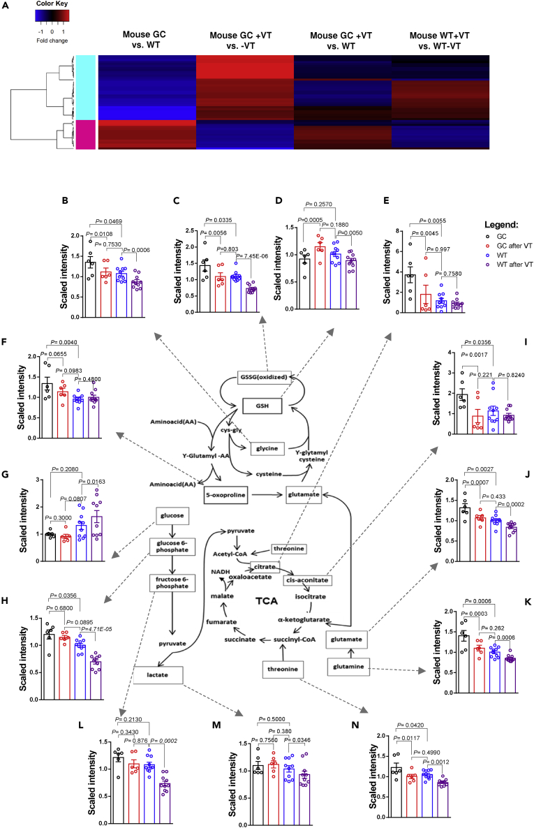 Figure 4