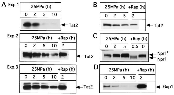 FIG. 6