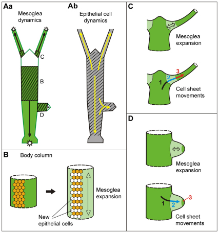 Fig. 10.