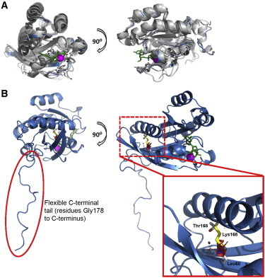 Figure 2