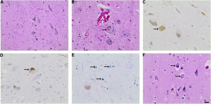 Figure 3