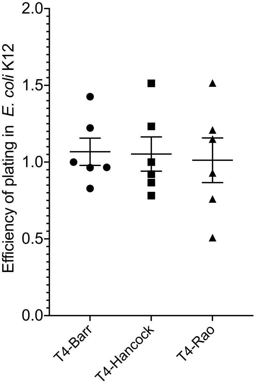 FIG 3