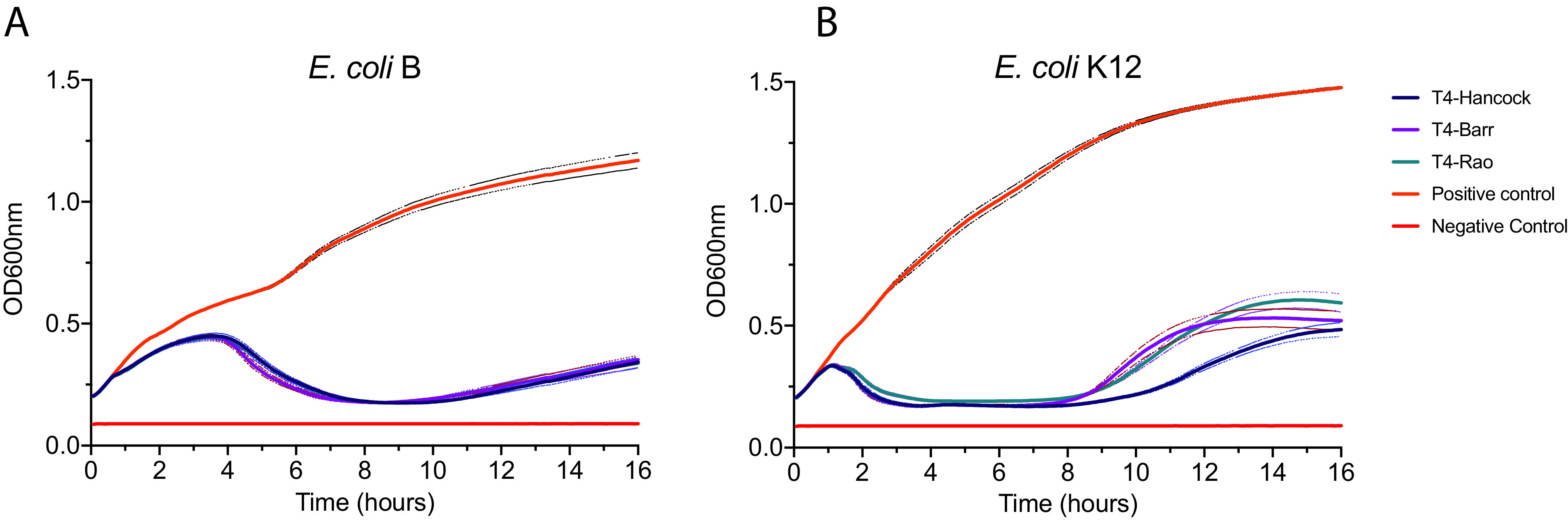 FIG 5