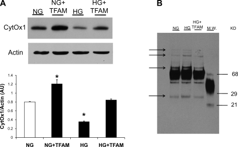 Fig. 5.