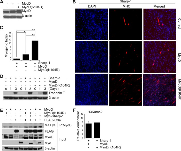 FIGURE 4: