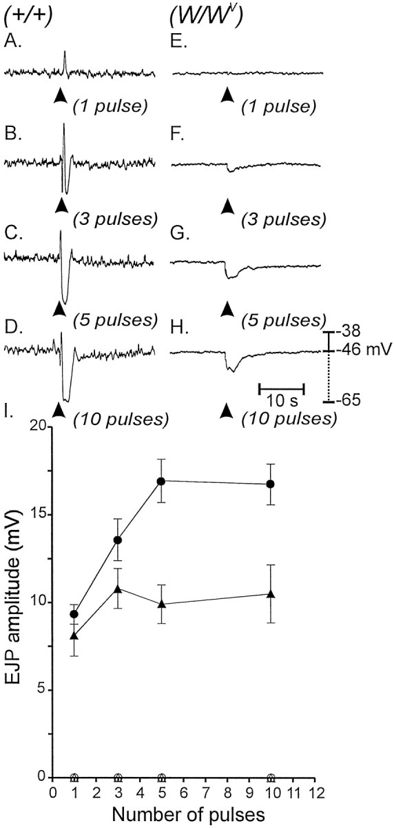 Fig. 9.