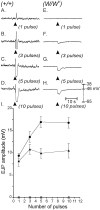 Fig. 9.