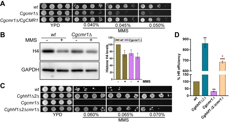 Fig 6