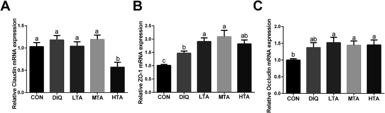 Fig. 8