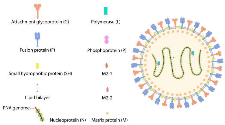 Figure 10