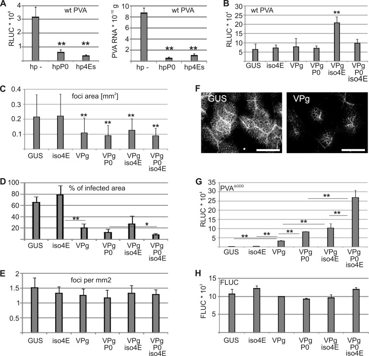 Fig 10