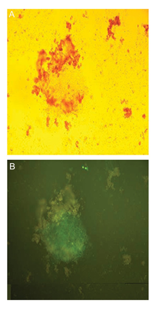 Fig.3