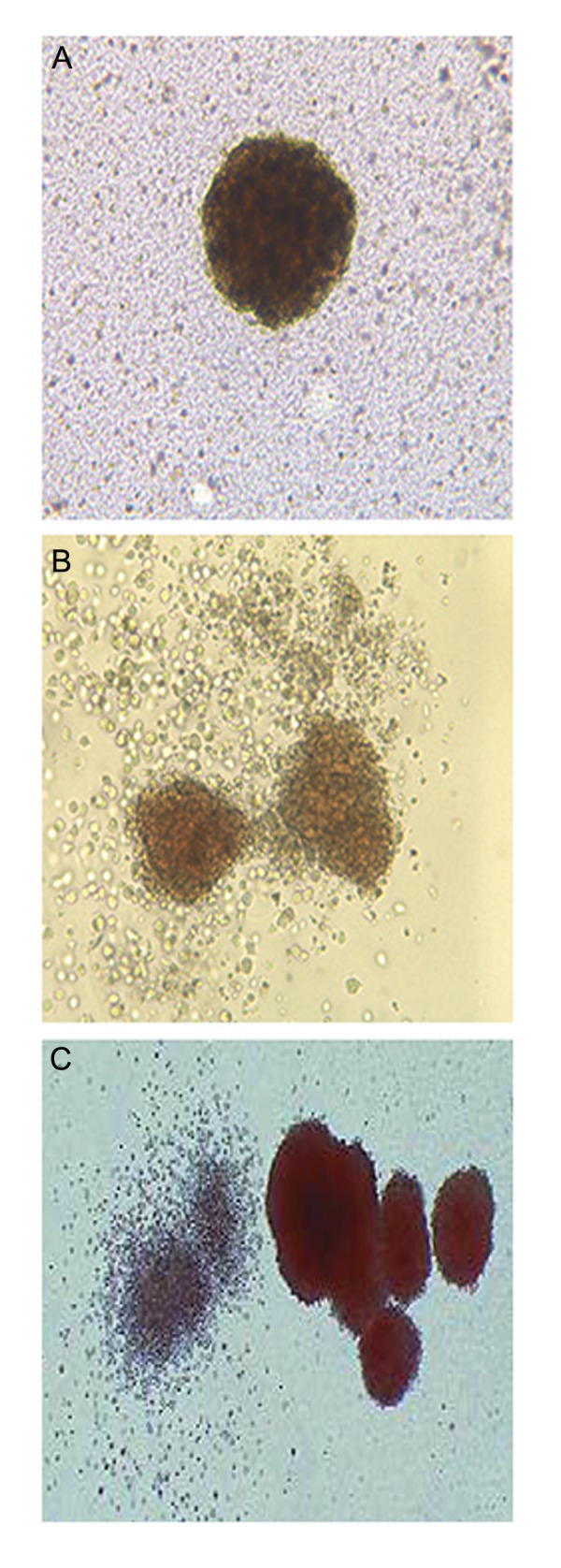 Fig.9