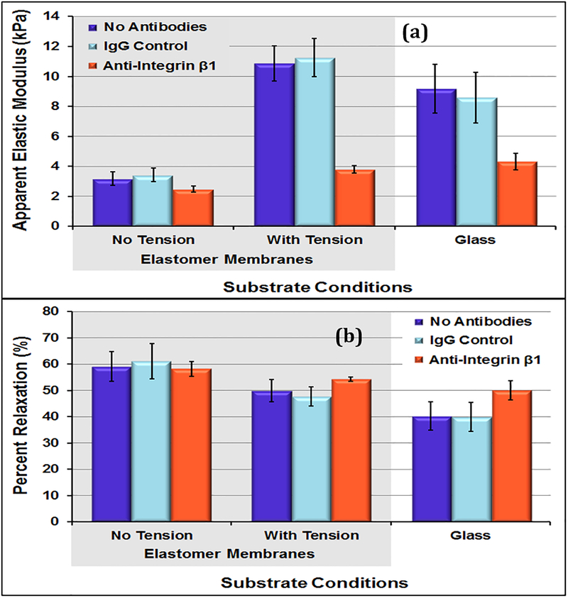 Figure 6: