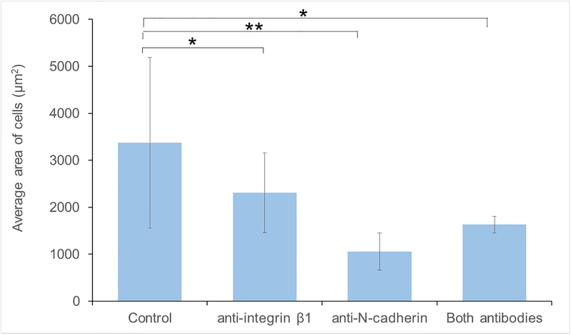 Figure 4: