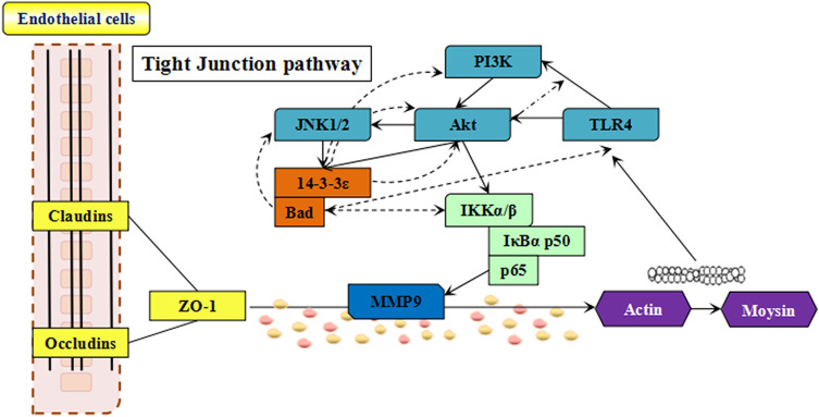 Fig. 12