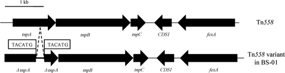 FIG. 2.