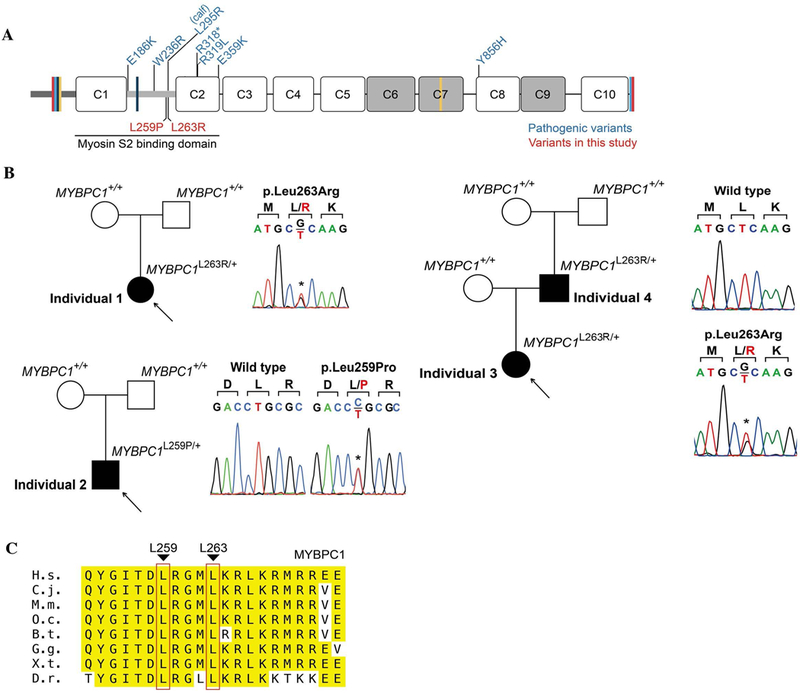 Figure 1: