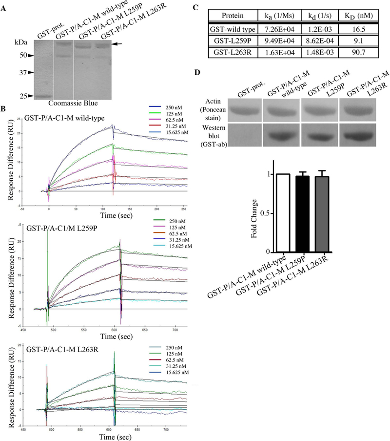 Figure 2: