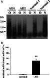 Fig. 2