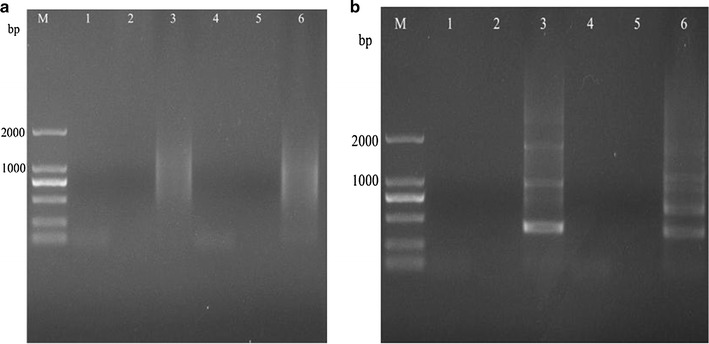 Fig. 5