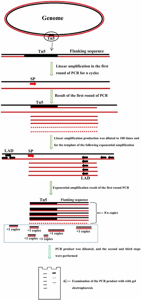 Fig. 1