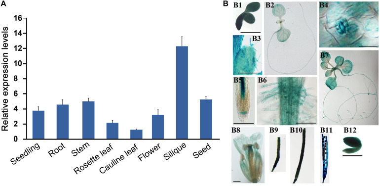 FIGURE 3