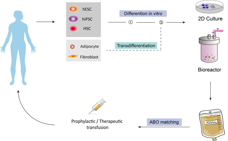 FIGURE 1