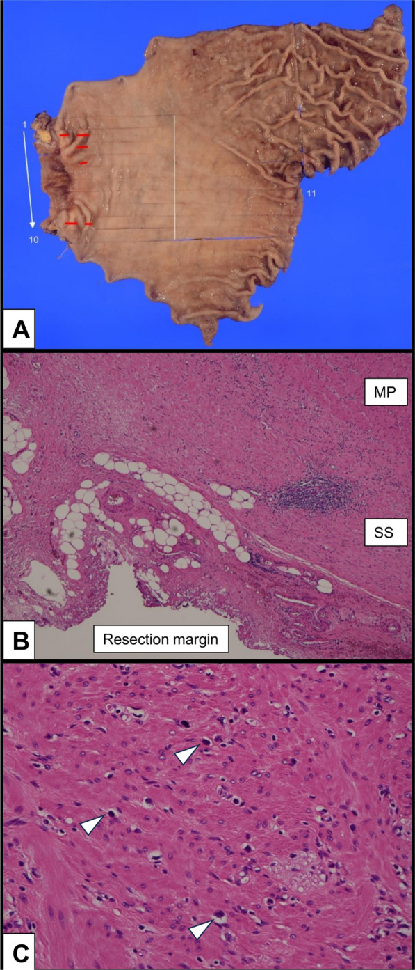 Fig. 2