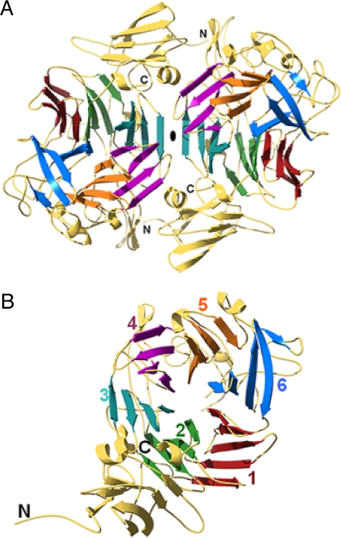 Fig. 2.