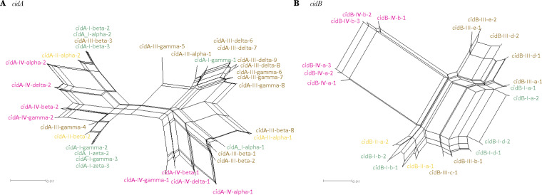 FIG 5