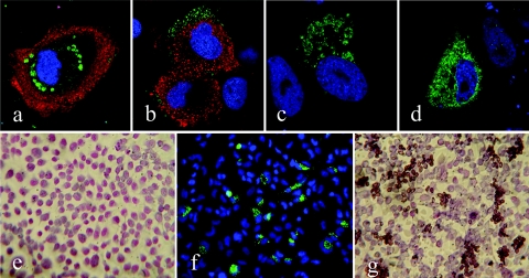 FIG. 6.