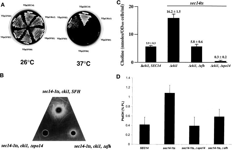 Figure 5